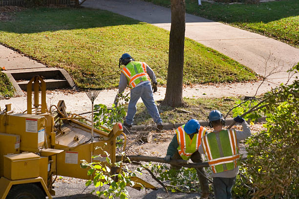 Lawn Drainage Solutions in Alturas, CA